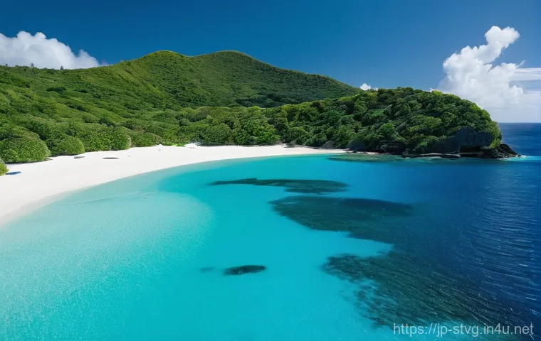 세인트빈센트 그레나딘에서의 스쿠버다이빙 라이선스 취득 - **Prompt 1: Volcanic Underwater Oasis**
    "A breathtaking, photorealistic wide-angle shot of a vib...
